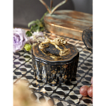 Шкатулка черного цвета с крышкой с фигуркой льва Eden Garden варинант исполнения - 6 | Loft Concept в Новосибирске