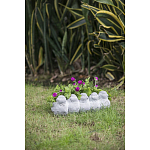 Кашпо Canaries варинант исполнения - 6 | Loft Concept в Новосибирске