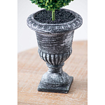 Декоративный искусственное растение Double boxwood варинант исполнения - 7 | Loft Concept в Новосибирске