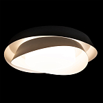 Потолочный светильник круглый черного цвета из металла Vita Cuna варинант исполнения - 1 | Loft Concept в Новосибирске