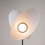 Напольный светильник Evolution 3000К 12Вт варинант исполнения - 5 | Loft Concept в Новосибирске