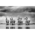 Книга Beusker. Look into my Eyes варинант исполнения - 4 | Loft Concept в Новосибирске