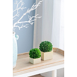 Декоративный искусственное растение Square boxwood варинант исполнения - 5 | Loft Concept в Новосибирске