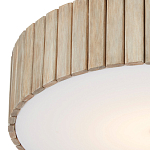 Потолочный светильник круглый светодиодный Contrasting Elements варинант исполнения - 1 | Loft Concept в Новосибирске