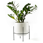 Кашпо из керамики Elevated Planters 32 варинант исполнения - 11 | Loft Concept в Новосибирске