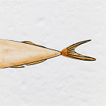 Плитка с узором Рыба Русалка варинант исполнения - 6 | Loft Concept в Новосибирске