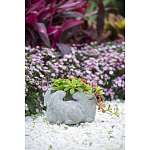 Кашпо A collection of baby rabbits варинант исполнения - 9 | Loft Concept в Новосибирске