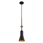 Подвесной светильник с конусным плафоном и декоративной звездой 57 см Elstead Lighting варинант исполнения - 9 | Loft Concept в Новосибирске