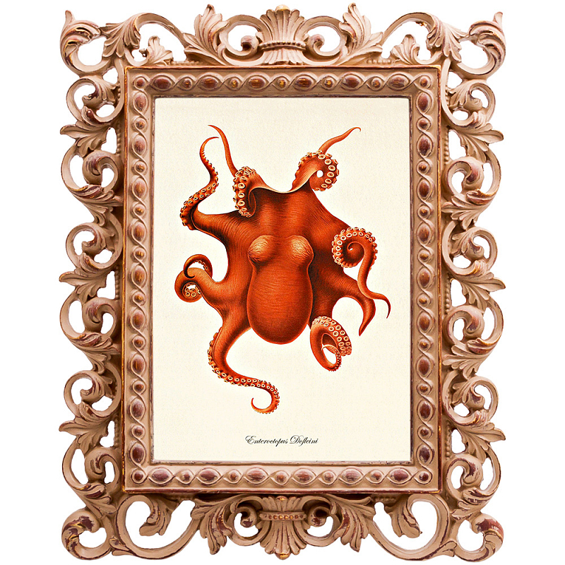 Постер Red Octopus Poster Бежевый Красный в Новосибирске | Loft Concept 