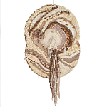 Овальный Современный Гобелен Абстракция в бежевых тонах Shallow варинант исполнения - 7 | Loft Concept в Новосибирске