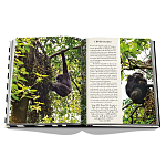 Подарочнный коллекционный фото альбом AFRICAN ADVENTURES NEW 2023 ASSOULINE HC UNBELIEVABLE ILLUSTRATIONS Safari варинант исполнения - 8 | Loft Concept в Новосибирске