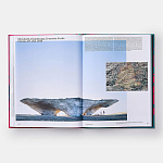 Radical Architecture of the Future варинант исполнения - 4 | Loft Concept в Новосибирске