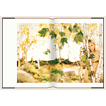 Подарочный Фотоальбом Matthew Rolston Beauty light 2006 варинант исполнения - 8 | Loft Concept в Новосибирске