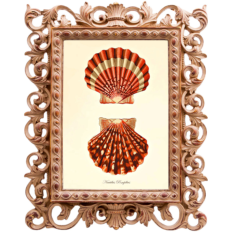 Постер Red Scallop Poster Бежевый Красный в Новосибирске | Loft Concept 