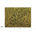 Редкое подарочное издание Yayoi Kusama: 1945 to Now варинант исполнения - 7 | Loft Concept в Новосибирске