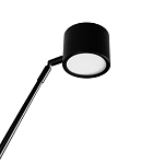 Торшер с изогнутой черной металлической стойкой и цилиндрическим плафоном Davide Groppi варинант исполнения - 10 | Loft Concept в Новосибирске