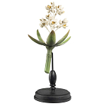 Статуэтка Wonderboom варинант исполнения - 1 | Loft Concept в Новосибирске