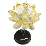 Статуэтка Tilia варинант исполнения - 1 | Loft Concept в Новосибирске