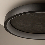 Потолочный светильник Orign 3000К варинант исполнения - 5 | Loft Concept в Новосибирске