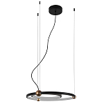 Люстра подвесная светодиодная черный металл Ring Horizontal варинант исполнения - 2 | Loft Concept в Новосибирске