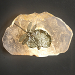 Бра Декоративный лист с стрекозой Glacial Fragment варинант исполнения - 2 | Loft Concept в Новосибирске