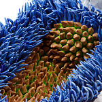 Дизайнерская статуэтка для интерьера Tropical Fruit Pandora 12 варинант исполнения - 3 | Loft Concept в Новосибирске