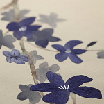 Обои ручная роспись Cherry Tree Original colourway on Stone Ochre dyed silk варинант исполнения - 3 | Loft Concept в Новосибирске