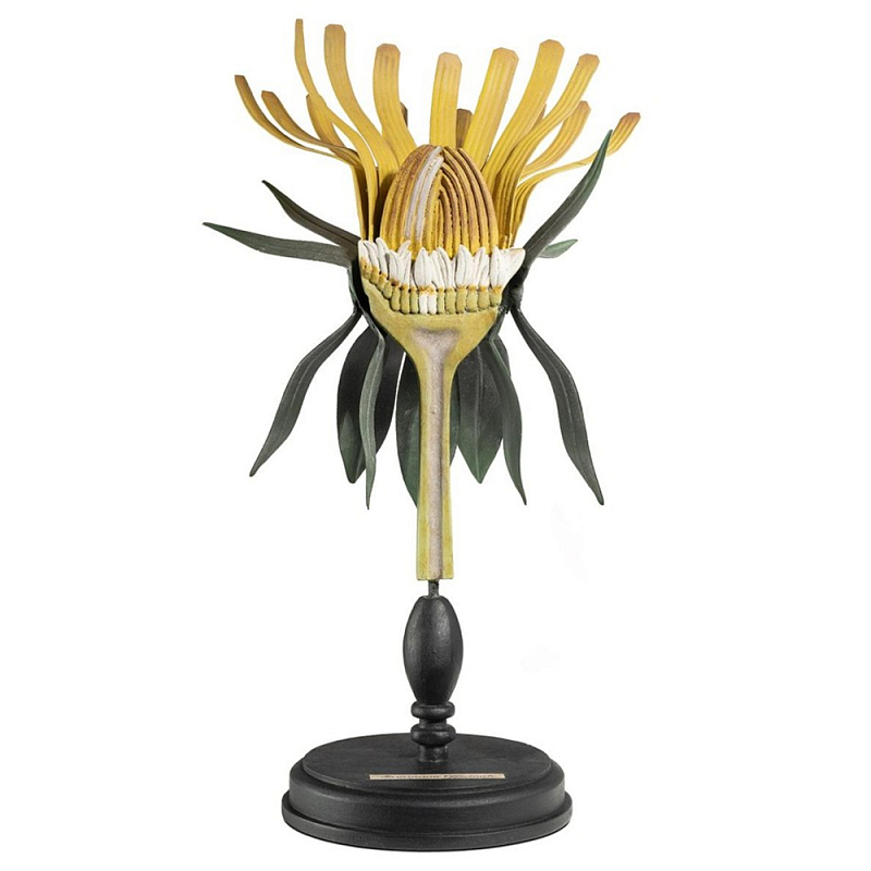 Статуэтка Dandelion Plant Черный Желтый Статуэтка Dandelion Plant Черный Желтый в Новосибирске | Loft Concept