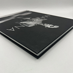 Коллекционная редкая книга Madonna: Nudes + by Martin H.M. Schreiber 2017 Букинистика варинант исполнения - 4 | Loft Concept в Новосибирске