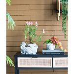 Кашпо A collection of baby rabbits варинант исполнения - 5 | Loft Concept в Новосибирске