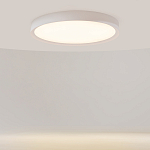 Потолочный светильник Incognito 2700-4000К 46Вт варинант исполнения - 2 | Loft Concept в Новосибирске