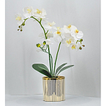 Декоративный искусственное растение Lush Orchid варинант исполнения - 2 | Loft Concept в Новосибирске
