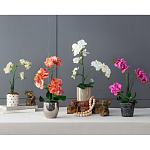 Декоративный искусственное растение Pink orchid варинант исполнения - 11 | Loft Concept в Новосибирске