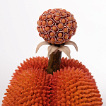 Статуэтка тропический фрукт Tropical Fruit Orange Prickly Berry варинант исполнения - 2 | Loft Concept в Новосибирске