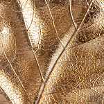 Статуэтка Metal Flowers Gold Black powder варинант исполнения - 2 | Loft Concept в Новосибирске