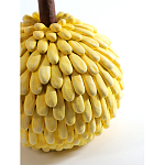 Статуэтка тропический фрукт Pandora Tropical Fruit Yellow Emerald Flower варинант исполнения - 2 | Loft Concept в Новосибирске