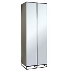 Двухдверный шкаф с зеркальными дверцами Strict Lines варинант исполнения - 1 | Loft Concept в Новосибирске