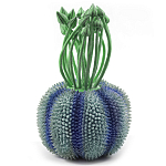 Статуэтка экзотический фрукт Exotic Tropical Fruit Green and Blue 64 варинант исполнения - 1 | Loft Concept в Новосибирске