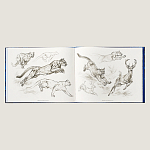 Лимитированная подарочная книга HERMES Fierce and Fragile book, English version варинант исполнения - 4 | Loft Concept в Новосибирске