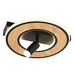 Потолочный светильник круглый GAVIN WOOD варинант исполнения - 1 | Loft Concept в Новосибирске