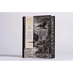 Книга Fantastic Gustave Dore варинант исполнения - 3 | Loft Concept в Новосибирске