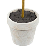 Декоративный искусственное растение Boxwood One варинант исполнения - 3 | Loft Concept в Новосибирске