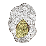 Бра с рельефным волнообразным стеклянным плафоном и вставкой из мрамора Liquid Stone варинант исполнения - 1 | Loft Concept в Новосибирске