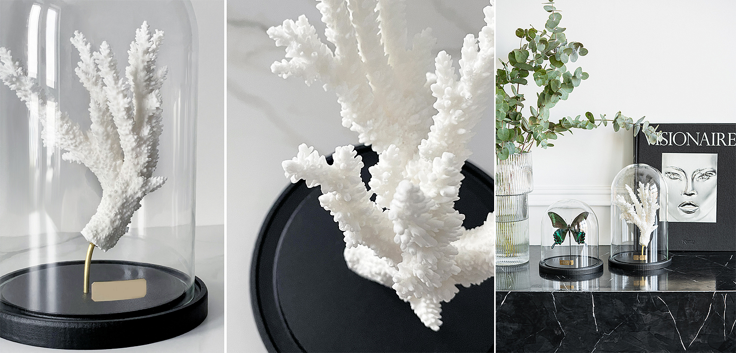 Статуэтка Natural Coral Branch Glass Cloche Статуэтка Natural Coral Branch Glass Cloche - Loft-Concept в Новосибирске