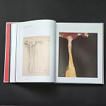 Подарочная Книга Rene gruau fashion illustration варинант исполнения - 11 | Loft Concept в Новосибирске