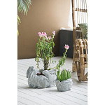 Кашпо A collection of baby rabbits варинант исполнения - 4 | Loft Concept в Новосибирске