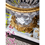 Чаша из прозрачного стекла с бронзовой подставкой и ручками Eden Garden варинант исполнения - 4 | Loft Concept в Новосибирске