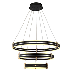 Люстра светодиодная с 3-мя плафонами в форме колец из акрила и алюминия с пультом для регулировки света Ring Horizontal Anthracite варинант исполнения - 1 | Loft Concept в Новосибирске