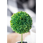 Декоративный искусственное растение Boxwood One варинант исполнения - 8 | Loft Concept в Новосибирске