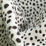 Мебельная ткань Искусственный мех  белый леопард 90 см T5-3 варинант исполнения - 1 | Loft Concept в Новосибирске
